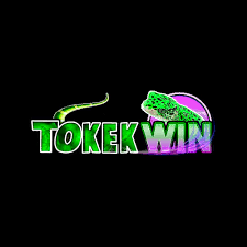 tokekwin - Balap Motor APK